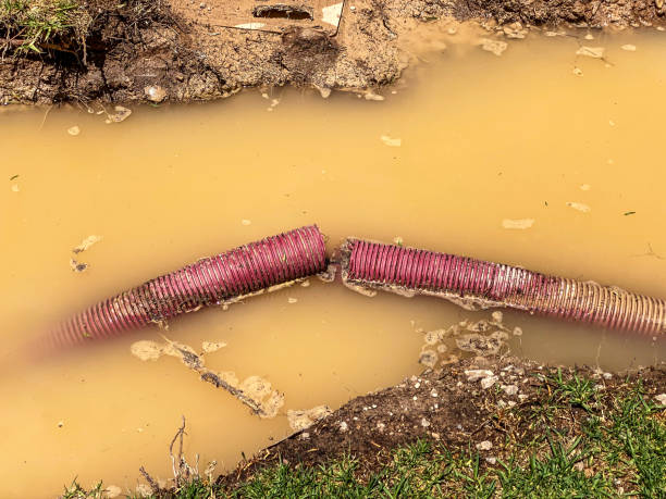 Best Carpet water damage restoration  in Prineville Lake Acres, OR