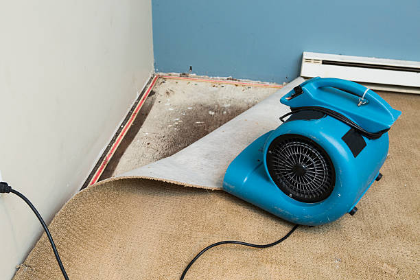 Best Flood restoration services  in Prineville Lake Acres, OR